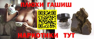 стаф Новодвинск